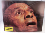 Shining / Kubrick 1980er Lobby Card  36 x 28 cm (11" x 14")