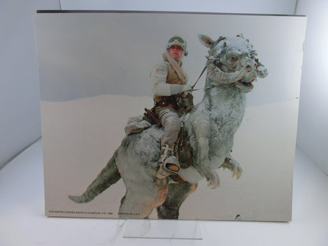 Empire strikes back Lobby Cards  DeLuxe 36 x 28 cm (11" x 14")