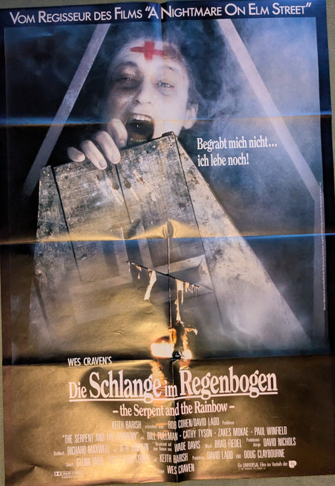 Die Schlange im Regenbogen - Plakat A1