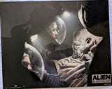 Alien Aushangfoto , SEHR (!) große dtsch. Lobby Card 1979 51 x 40,5 cm U.S.A - Motiv