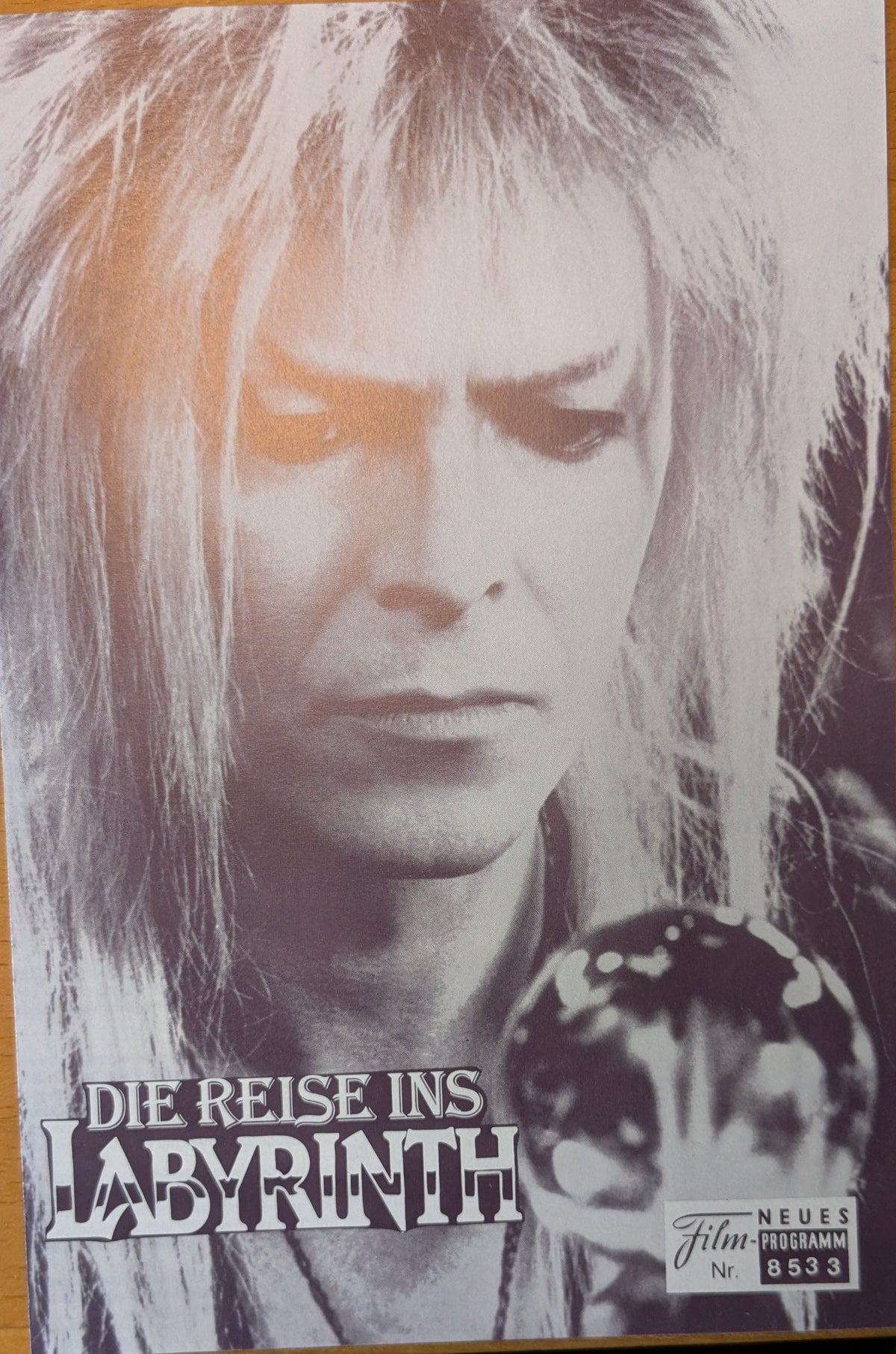 Die Reise ins Labyrinth Filmprogramm NFP 8533