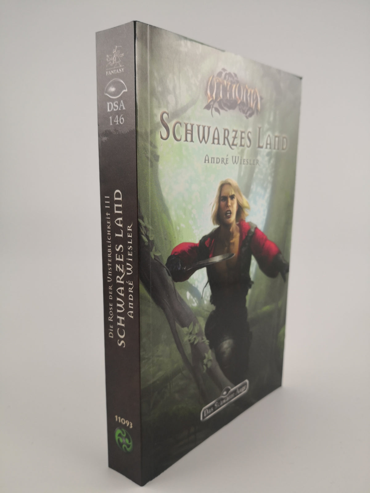 Das Schwarze Auge (DSA 146) Schwarzes Land Roman