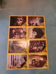 Flucht vom Planet der Affen / Planet of Apes 8 AHFotos Lobby Cards