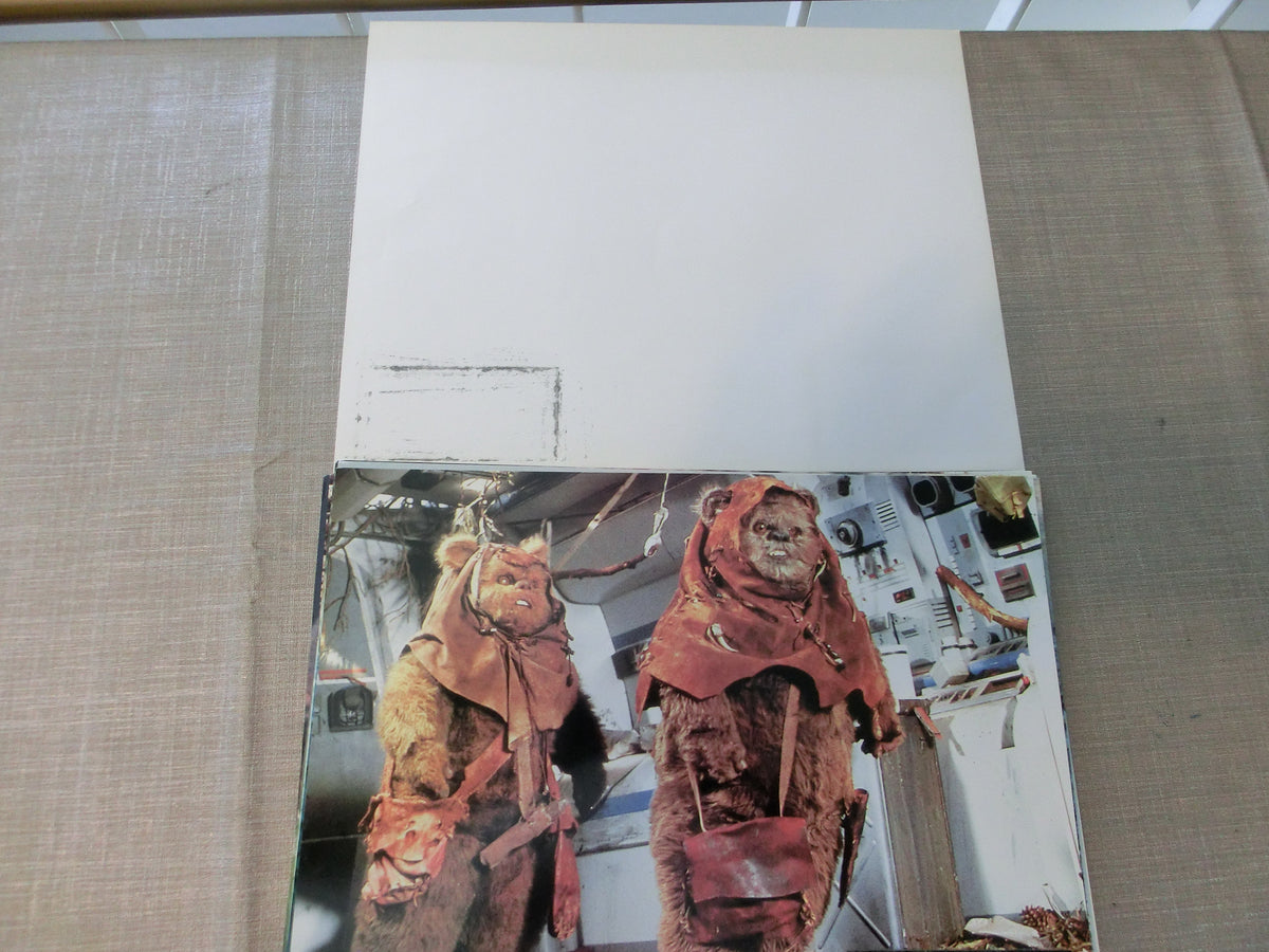 Ewoks - Karawane der Tapferen Aushangfoto Satz (18) Lobbycard