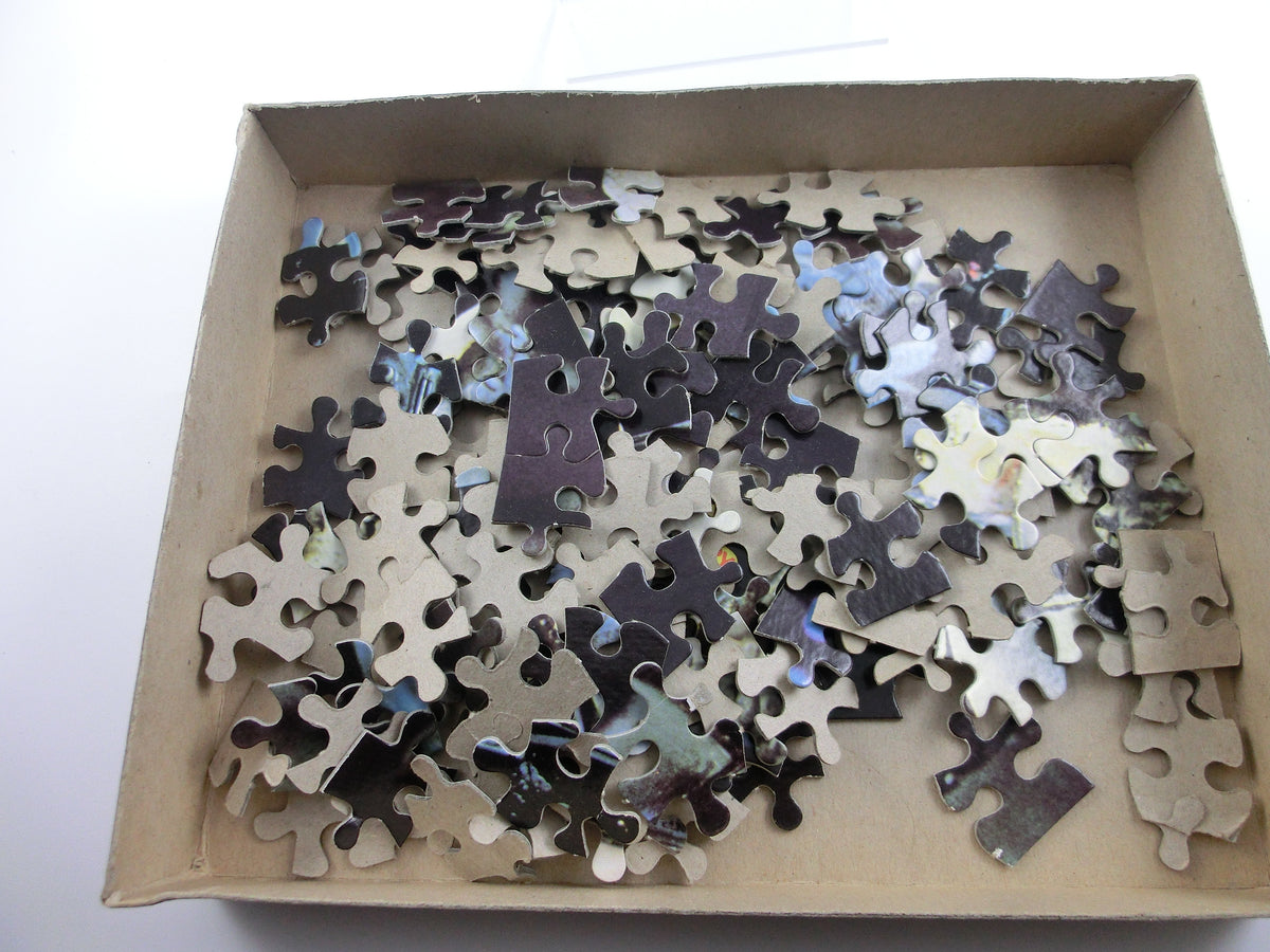 Alien Jigsaw Puzzle "Discovery"  H-G Toys Inc. 1979