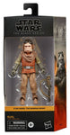 Star Wars Black Series Actionfigur 2021 Kuiil 15 cm