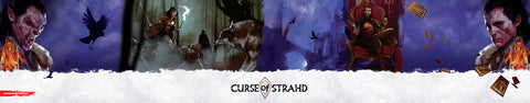 D & D Dungeons & Dragons Fluch des Strahd Schirm