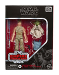 Star Wars Black Series Actionfiguren 2020 Luke and Yoda (Jedi Training)