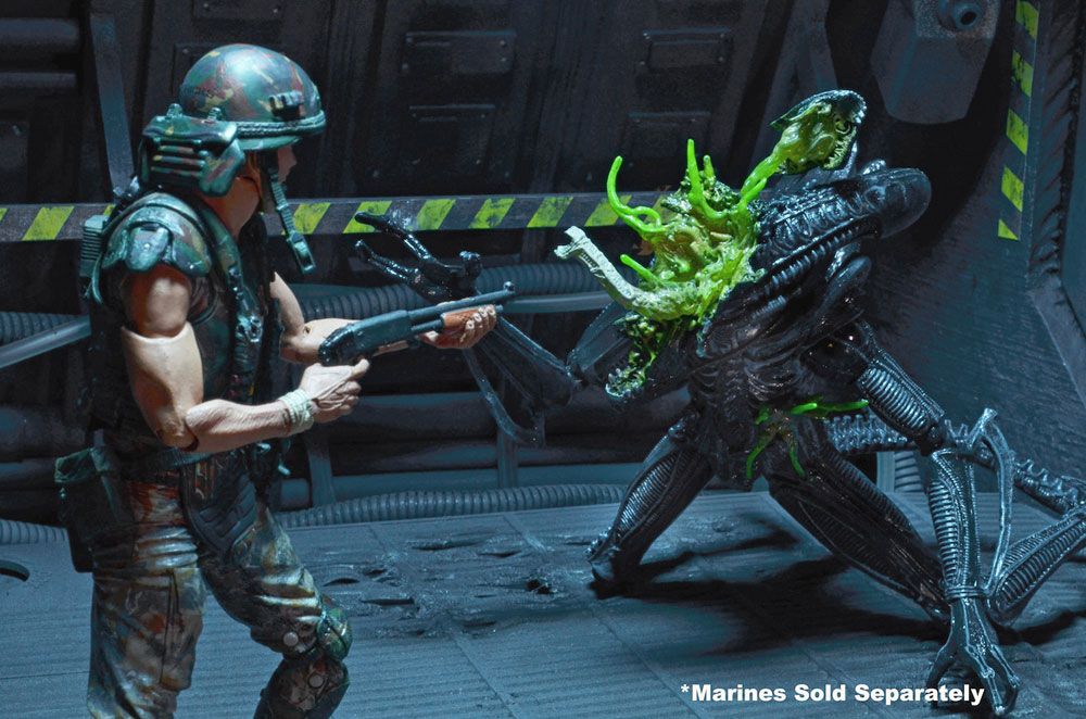 Aliens Xenomorph Warrior battle damaged Actionfigur  20 cm, Serie 12